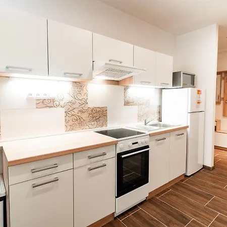 Internesto Luzanky Apartment Brno