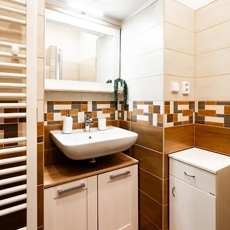 Apartment Internesto Luzanky Brno